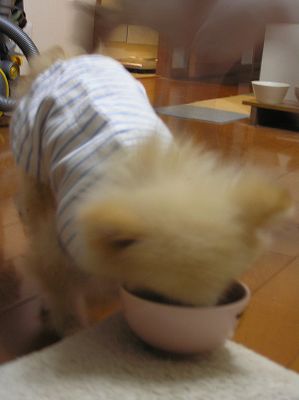 07092801.jpg