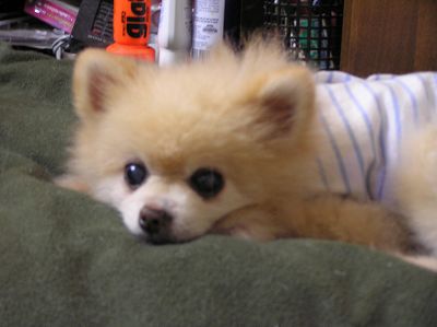 07092802.jpg