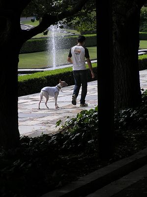 07100604.jpg