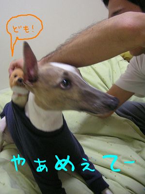 07112101.jpg