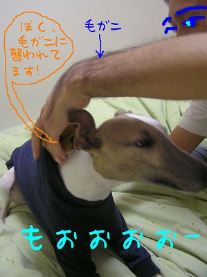 07112102.jpg