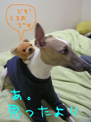 07112103.jpg