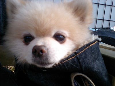 07120101.jpg