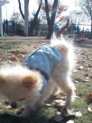 07120102.jpg