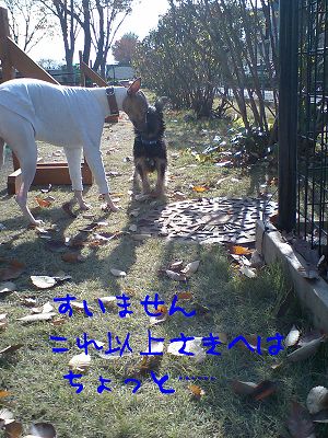 07120104.jpg