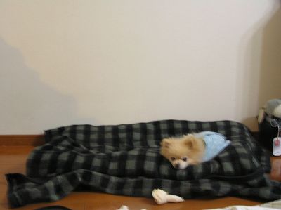 08010402.jpg