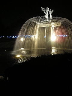 08010607.jpg