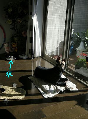 080113 003.jpg