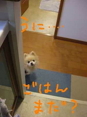 080116 01.jpg