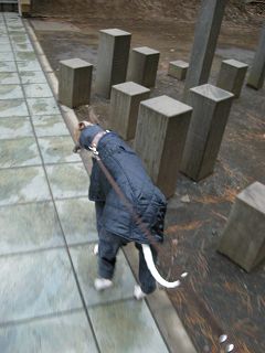 080117 01.jpg
