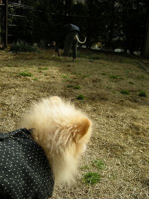 08012003.jpg