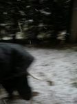 08012302.jpg