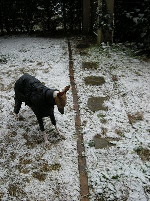 08012304.jpg