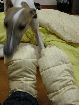08012502.jpg