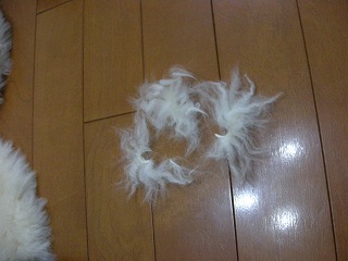 08012704.jpg