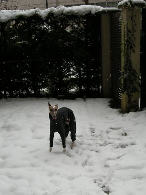 08020301.jpg