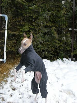 08020302.jpg