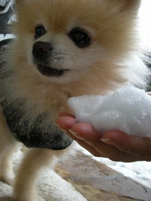 08020304.jpg