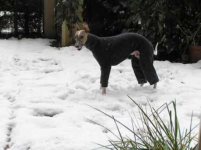 08020305.jpg