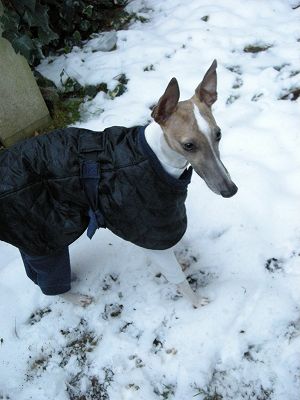 08020306.jpg