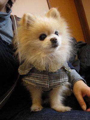 08020902.jpg