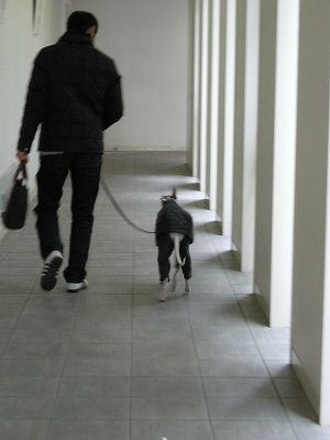 08020905.jpg