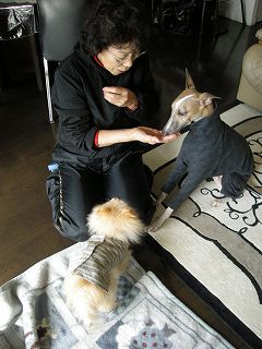 08020906.jpg