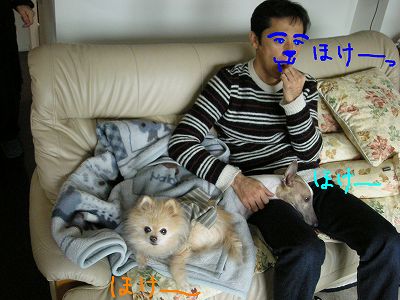 08020907.jpg