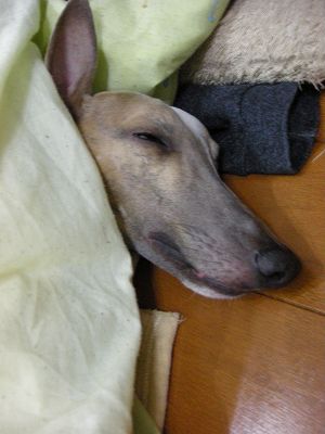 08020908.jpg