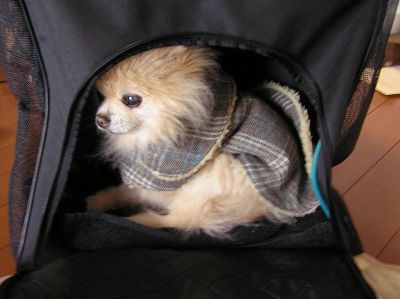08020909.jpg