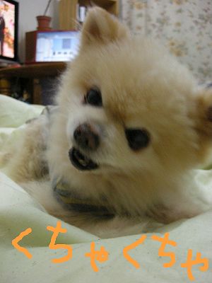 08021302.jpg