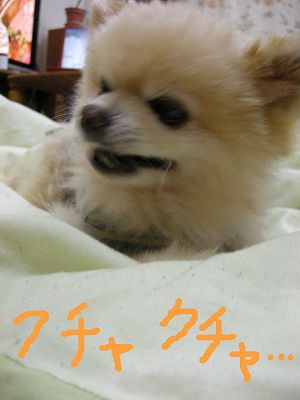08021303.jpg