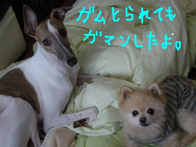 08021305.jpg