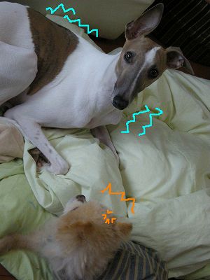 08021306.jpg