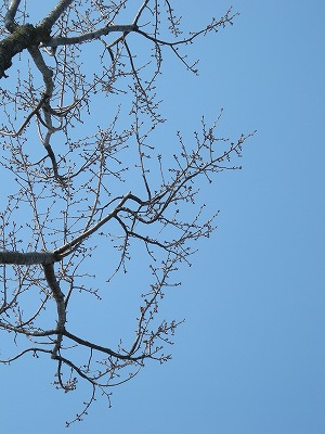 08030101.jpg