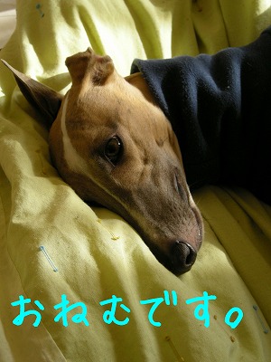 08030402.jpg