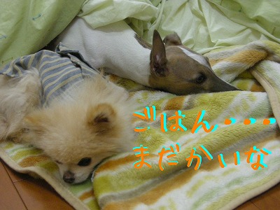 08030601.jpg