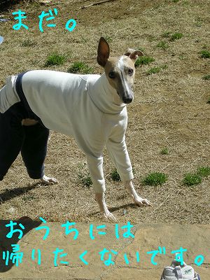 08030802.jpg