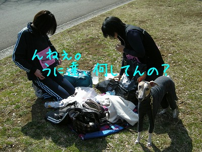 08030901.jpg
