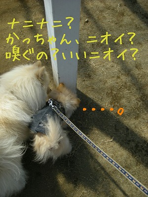 08032204.jpg