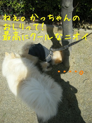 08032205.jpg