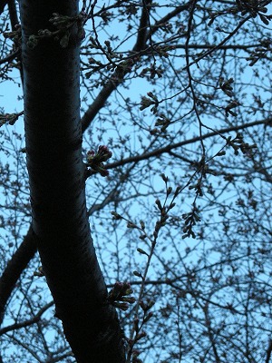 08032214.jpg