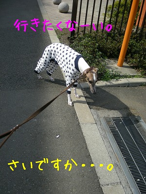 08032302.jpg