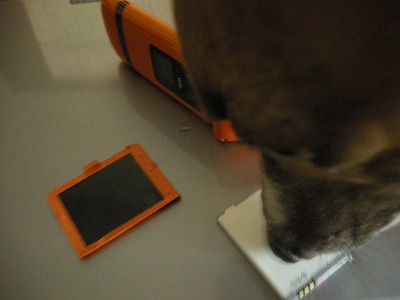08032601.jpg