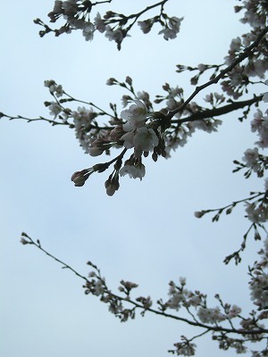 08032701.jpg