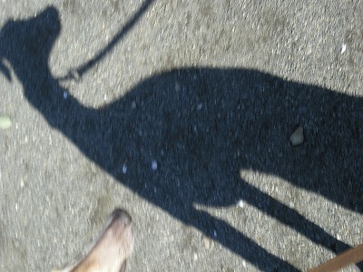 08040101.jpg