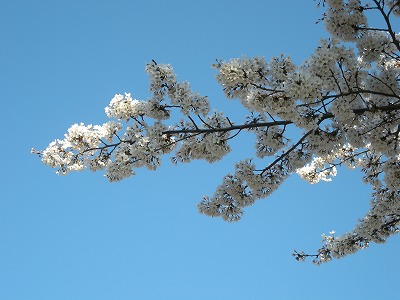 08040103.jpg