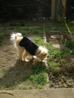 08040401.jpg
