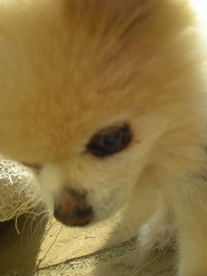 08040403.jpg
