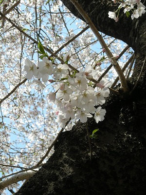 08040601.jpg